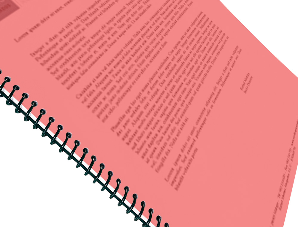 CAPA DE ENCADERNACAO LIDERPAPEL POLIPROPILENO DIN A4 0.5 MM VERMALHA TRANSLUCIDO PACK DE 100 UNIDADES